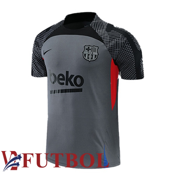 Dise A Tu Propia Camiseta Entrenamiento Fc Barcelona Gris Baratas